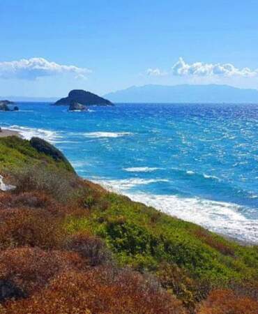 Yerlisi de yabancısı da İzmir’in bu plajına koşuyor! Uygun fiyatlarıyla Çeşme’yi solladı: Berrak denizi gören akın ediyor