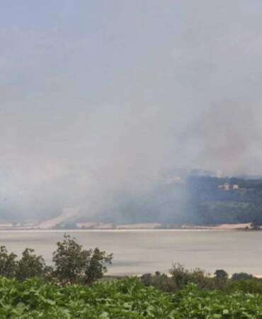 Edirne’de orman yangını: Müdahale devam ediyor