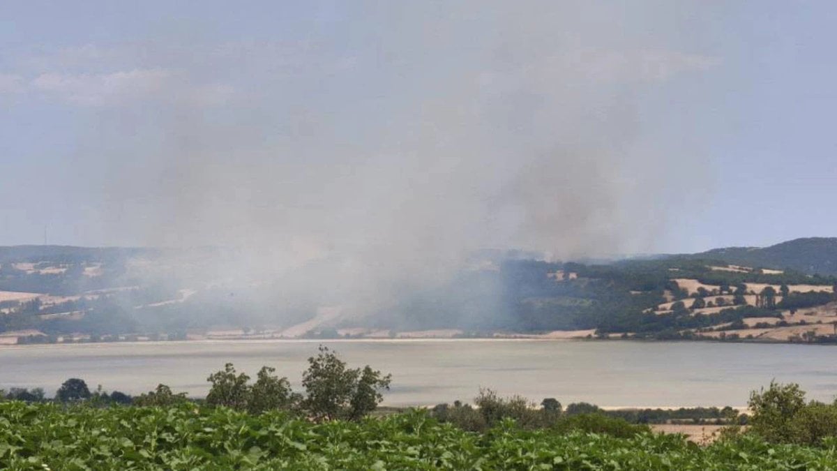 Edirne’de orman yangını: Müdahale devam ediyor