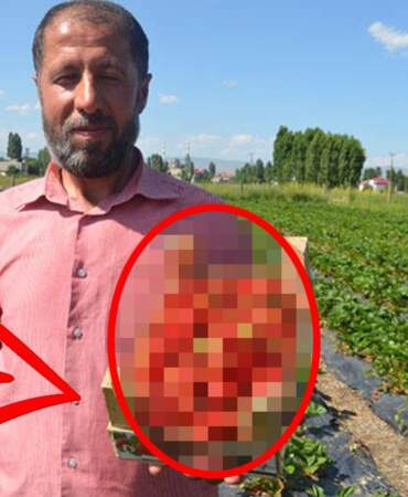 Devlet destekledi Muş’ta bahçeler kuruldu! Yılda 7-8 kez hasat yapıyorlar, 2 ton ürün alıyorlar: Kilosunu 100 TL’den veriyorlar