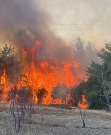 Çanakkale’de orman yangınlarına soruşturma: 6 kişi gözaltında