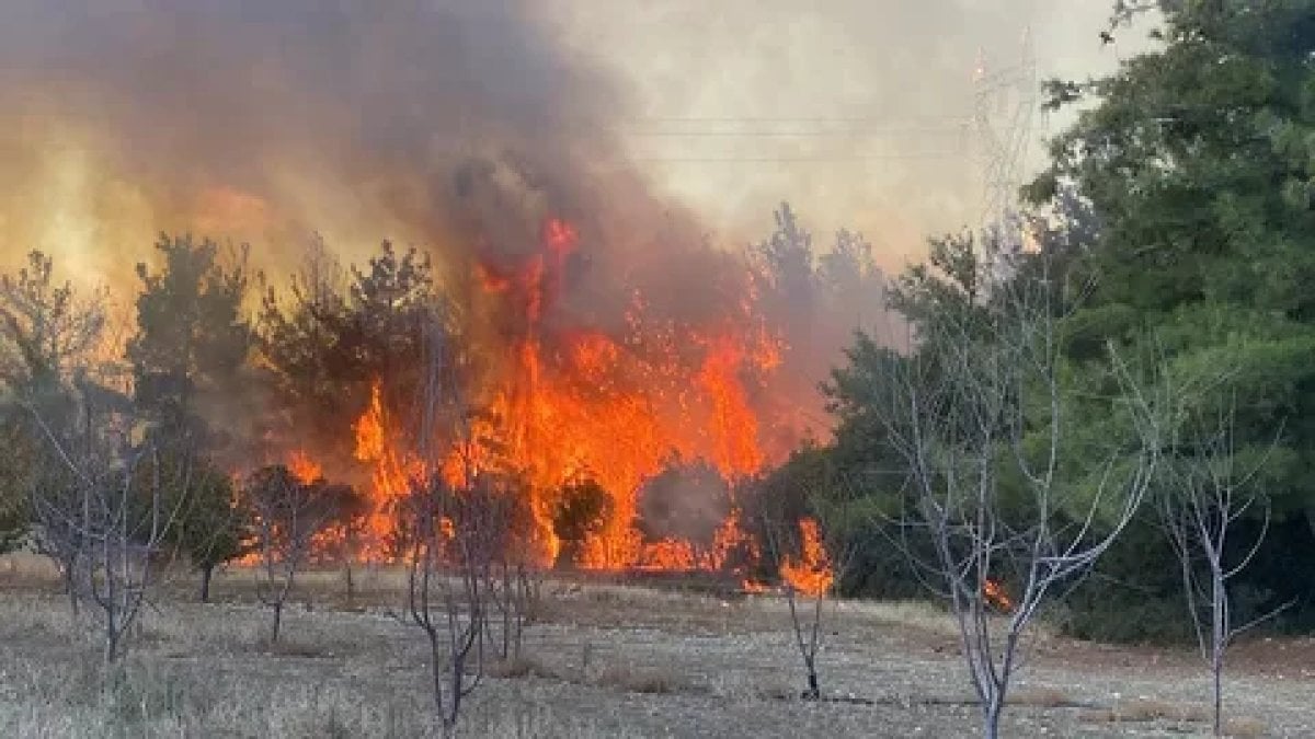 Çanakkale’de orman yangınlarına soruşturma: 6 kişi gözaltında