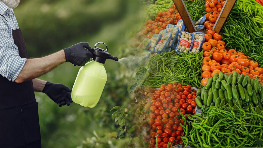 Bakanlık: Pestisit sonuçlarının açıklanması “kamu yararına değil”