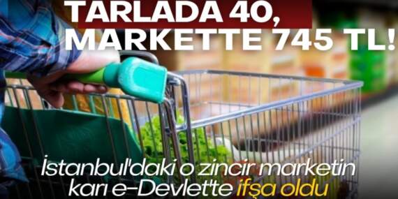 Tarlada 40, markette 745 TL! İstanbul’daki o zincir marketin karı e-Devlet’te ifşa oldu