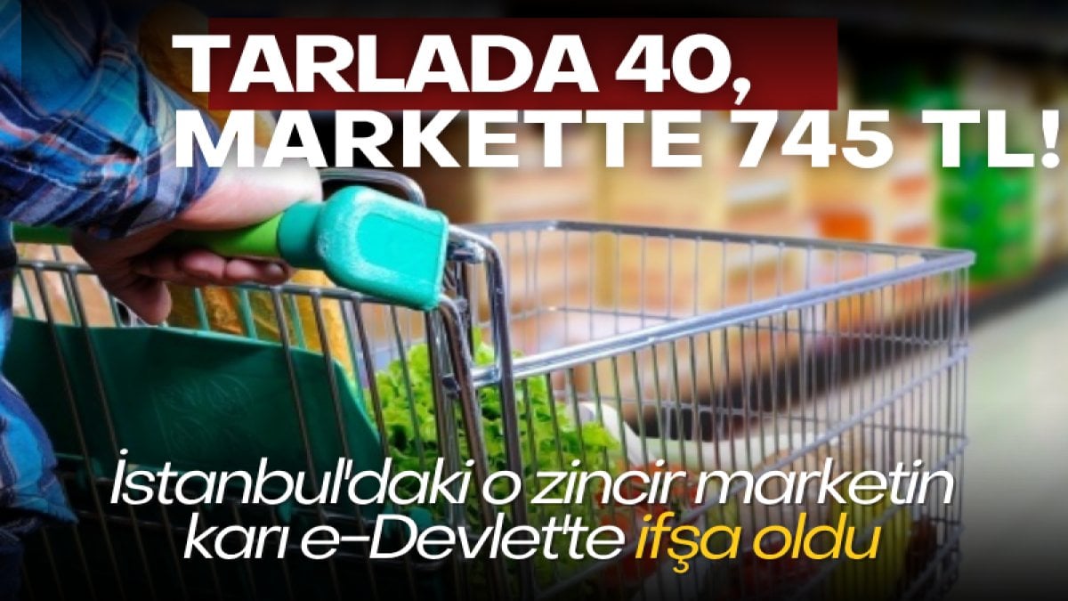 Tarlada 40, markette 745 TL! İstanbul’daki o zincir marketin karı e-Devlet’te ifşa oldu