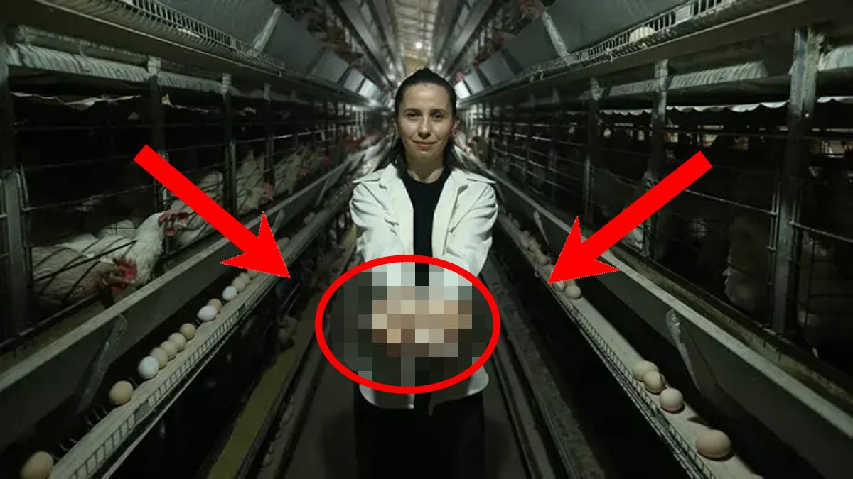 Üretim merakı ağır bastı, ekonomiye can suyu oldu! Büyükşehri değil ailesinin yanını tercih etti: Teknolojiyle işleri büyüttü