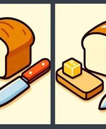 Sadece dikkat şampiyonları çözebiliyor! Bu görseldeki farkları kaç saniyede bulabilirsin?