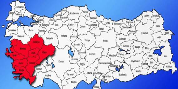 Bu çevre illerde yaşayanlar dikkat! Türkiye’nin en zehirli yılanı o köyde görüldü: Tek ısırığıyla felç edip öldürüyor