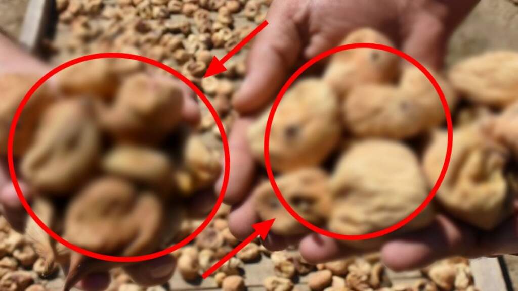 featured