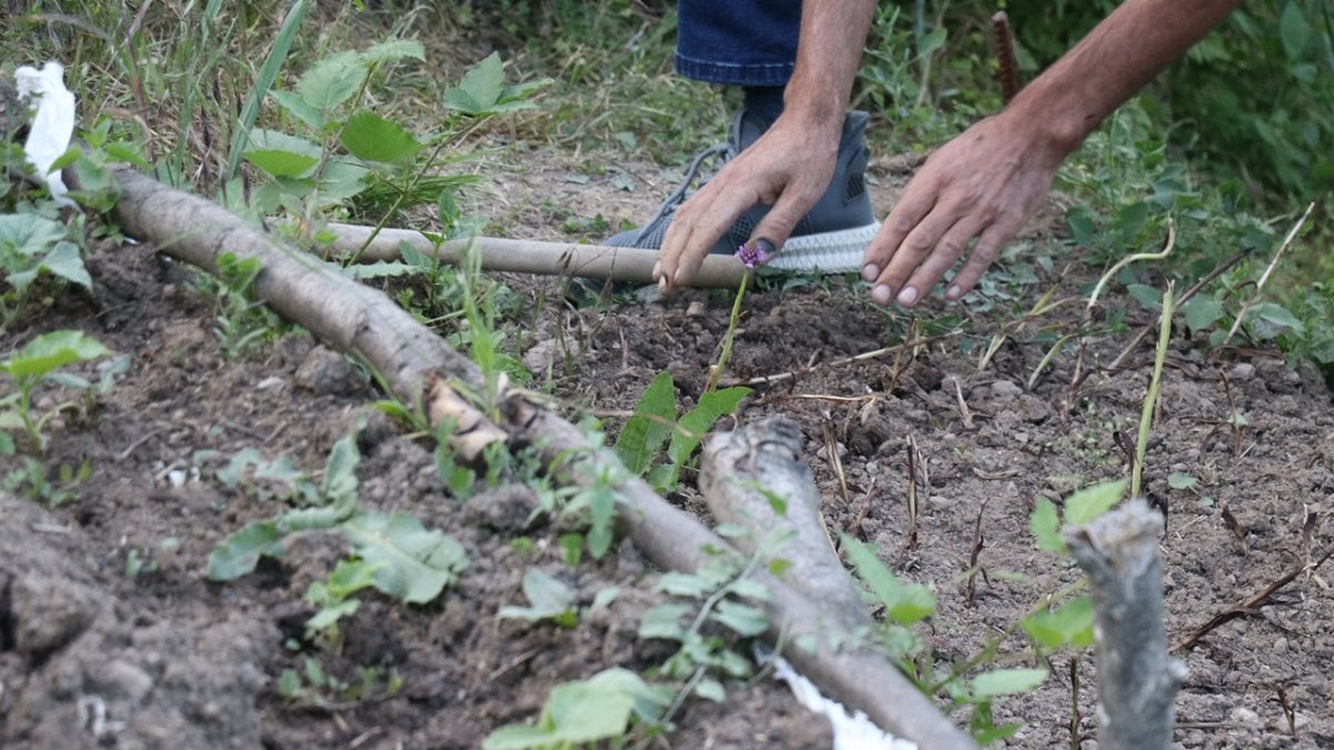 Merakla başladılar servet kazandılar! Bir dönümünden çıkan gelir dudak uçuklatıyor