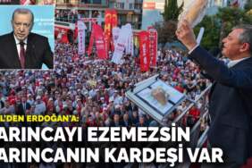 Özel’den Erdoğan’a: Karıncayı ezemezsin karıncanın kardeşi var