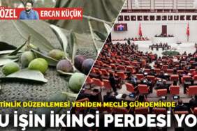 Bu işin ikinci perdesi yok
