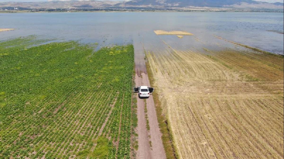 ‘Tutarsa şanstır’ dediler yine olmadı! Su seviyesi yükseldi, tüm ürünler su altında kaldı: Çiftçinin yüzü bu yıl da gülmedi