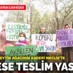 Adrese teslim yasa