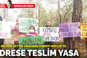 Adrese teslim yasa