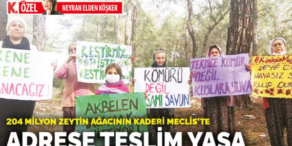 Adrese teslim yasa