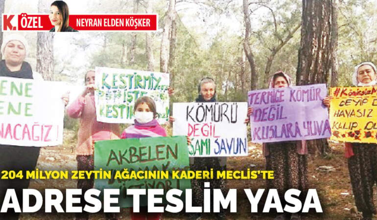 Adrese teslim yasa