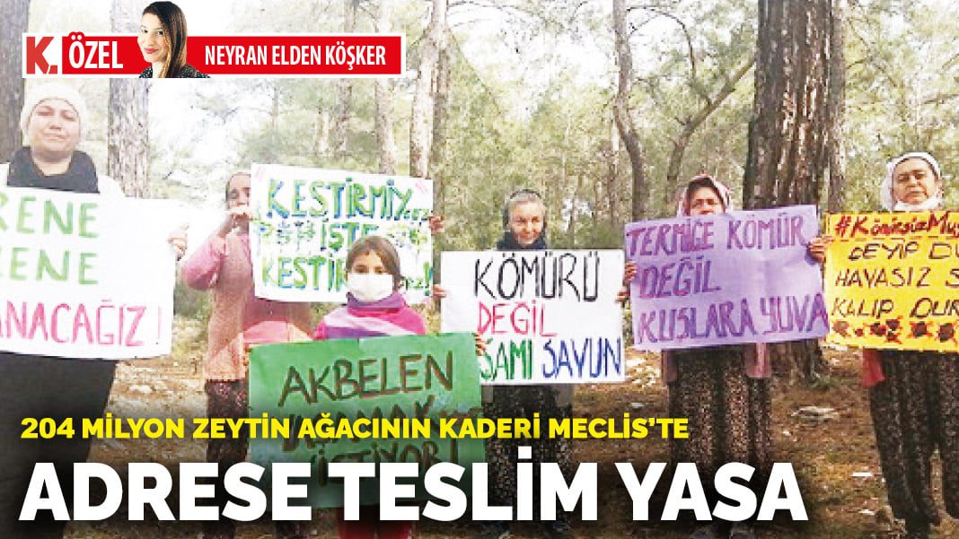 Adrese teslim yasa