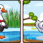 12 saniyelik zihin egzersizi: Bu 3 gizli farkı bulabilir misiniz?