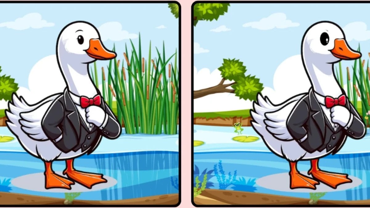 12 saniyelik zihin egzersizi: Bu 3 gizli farkı bulabilir misiniz?