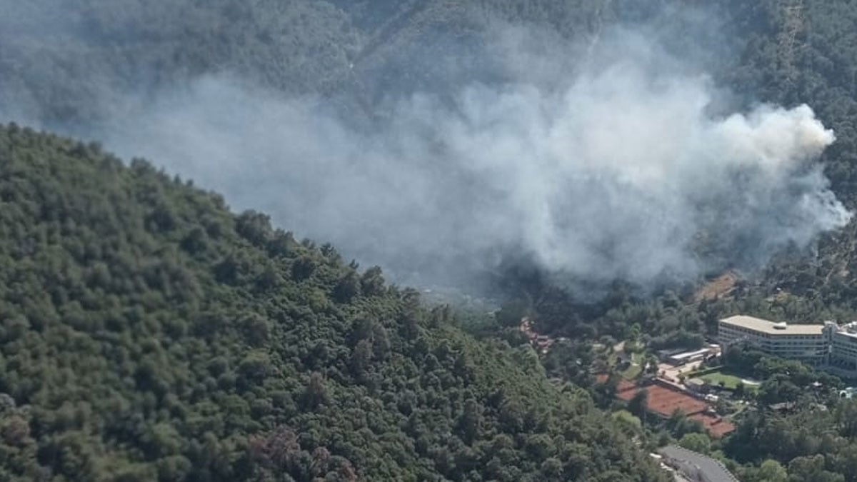 İzmir’de orman yangını