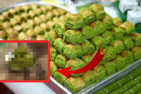Gaziantep’e Avrupa’dan bir müjde daha! Baklavadan sonra o da tescillendi: Artık tamamen Gaziantep’e ait
