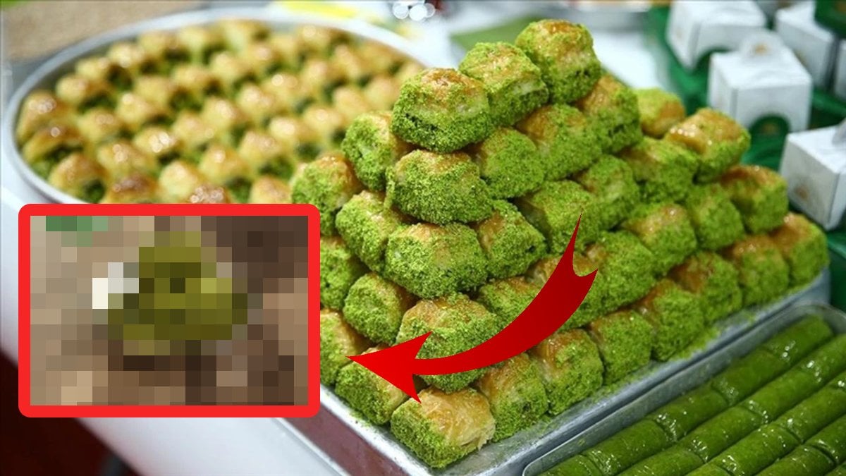 Gaziantep’e Avrupa’dan bir müjde daha! Baklavadan sonra o da tescillendi: Artık tamamen Gaziantep’e ait