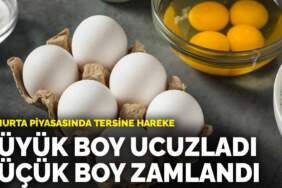 Yumurta piyasasında tersine hareket: Büyük boy ucuzladı, küçük boy zamlandı