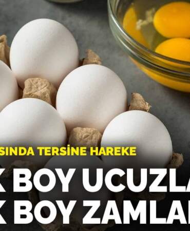 Yumurta piyasasında tersine hareket: Büyük boy ucuzladı, küçük boy zamlandı