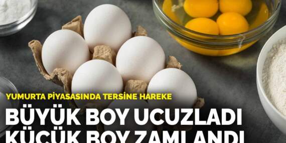 Yumurta piyasasında tersine hareket: Büyük boy ucuzladı, küçük boy zamlandı
