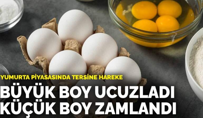 Yumurta piyasasında tersine hareket: Büyük boy ucuzladı, küçük boy zamlandı