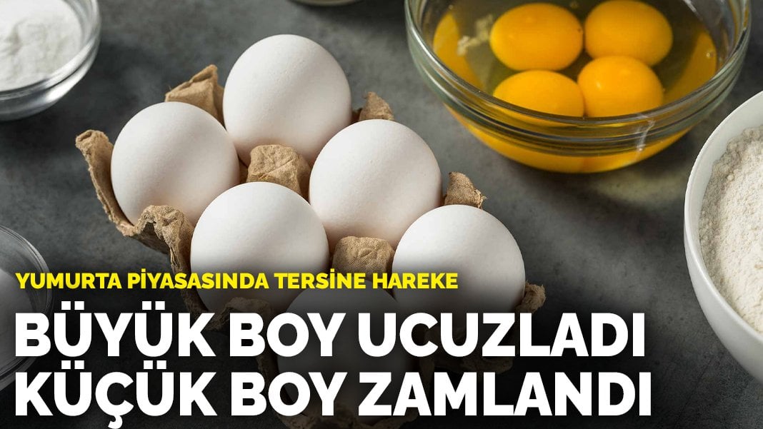 Yumurta piyasasında tersine hareket: Büyük boy ucuzladı, küçük boy zamlandı