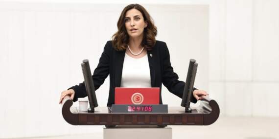 DEVA Partili Rızvanoğlu: “Tunca kuruyor, iktidar seyrediyor!”