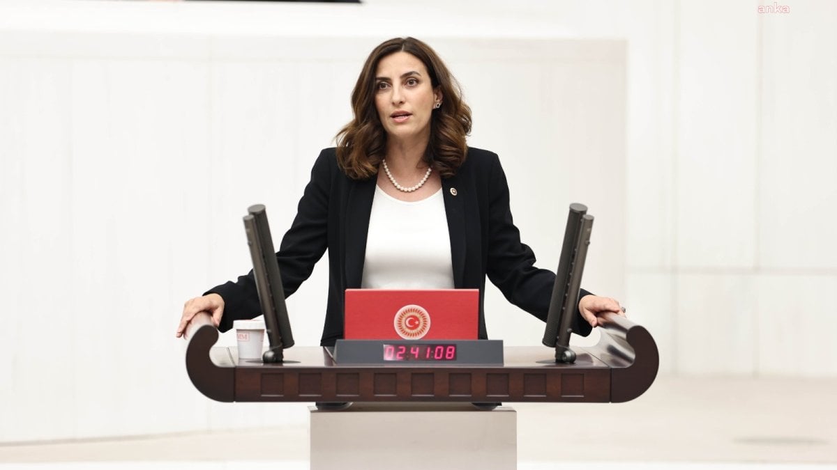 DEVA Partili Rızvanoğlu: “Tunca kuruyor, iktidar seyrediyor!”