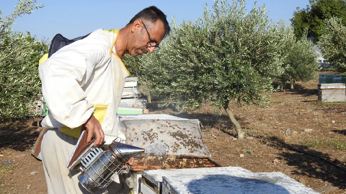 Annesinin tedavisi için başladı, yılda 2 ton üretime çıktı! 2 taneyle başlayan serüven: Şimdi Türkiye’nin her yerine gönderiyor