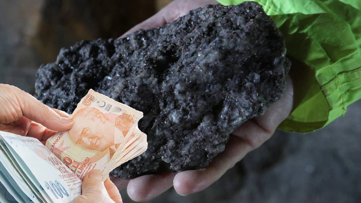 Evdeki bu hazineye dikkat! ‘Kara altın’ olarak biliniyor, değeri gün geçtikçe artıyor: Servet olarak görülüyor