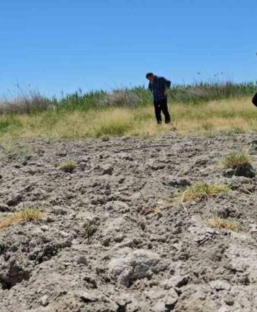 Çocukların yüzdüğü, kuşların uğrak yeriydi! Şimdi bir damlası bile kalmadı: Bitlis’in sevilen gölü kurudu