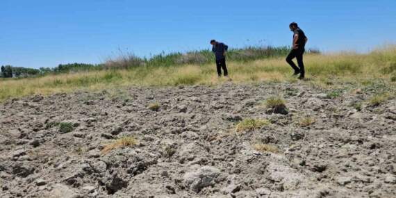 Çocukların yüzdüğü, kuşların uğrak yeriydi! Şimdi bir damlası bile kalmadı: Bitlis’in sevilen gölü kurudu