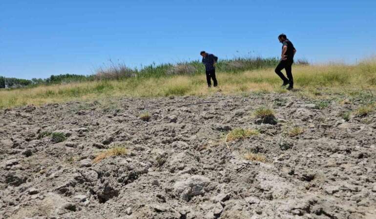 Çocukların yüzdüğü, kuşların uğrak yeriydi! Şimdi bir damlası bile kalmadı: Bitlis’in sevilen gölü kurudu