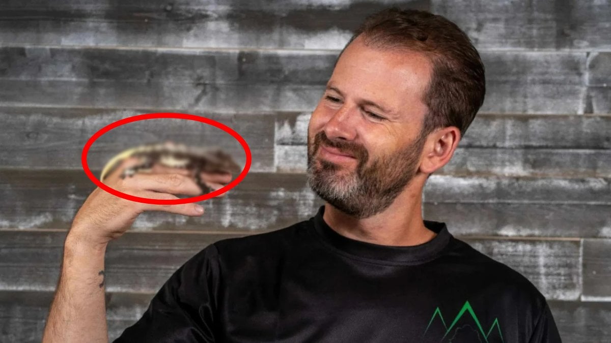 Asgari ücreti katladı, zenginliği onunla buldu! Evinde yetiştiriyor 5 tanesi 1 milyon TL ediyor