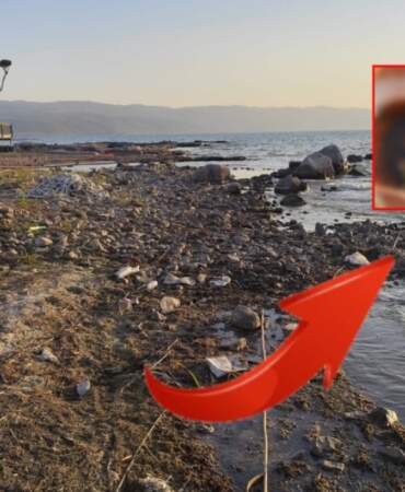 İznik Gölü kıyısında tedirgin eden manzara! Ölü balıklar endişe yarattı: Görüntüler turistleri şaşkına çevirdi