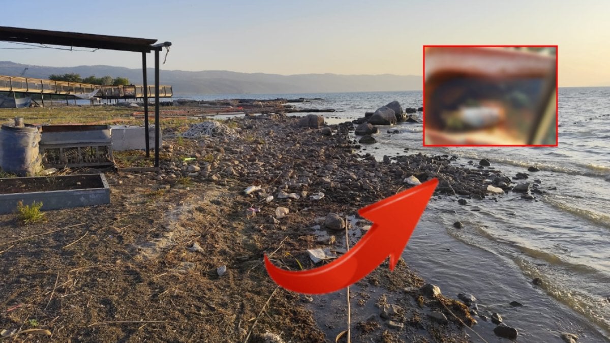 İznik Gölü kıyısında tedirgin eden manzara! Ölü balıklar endişe yarattı: Görüntüler turistleri şaşkına çevirdi