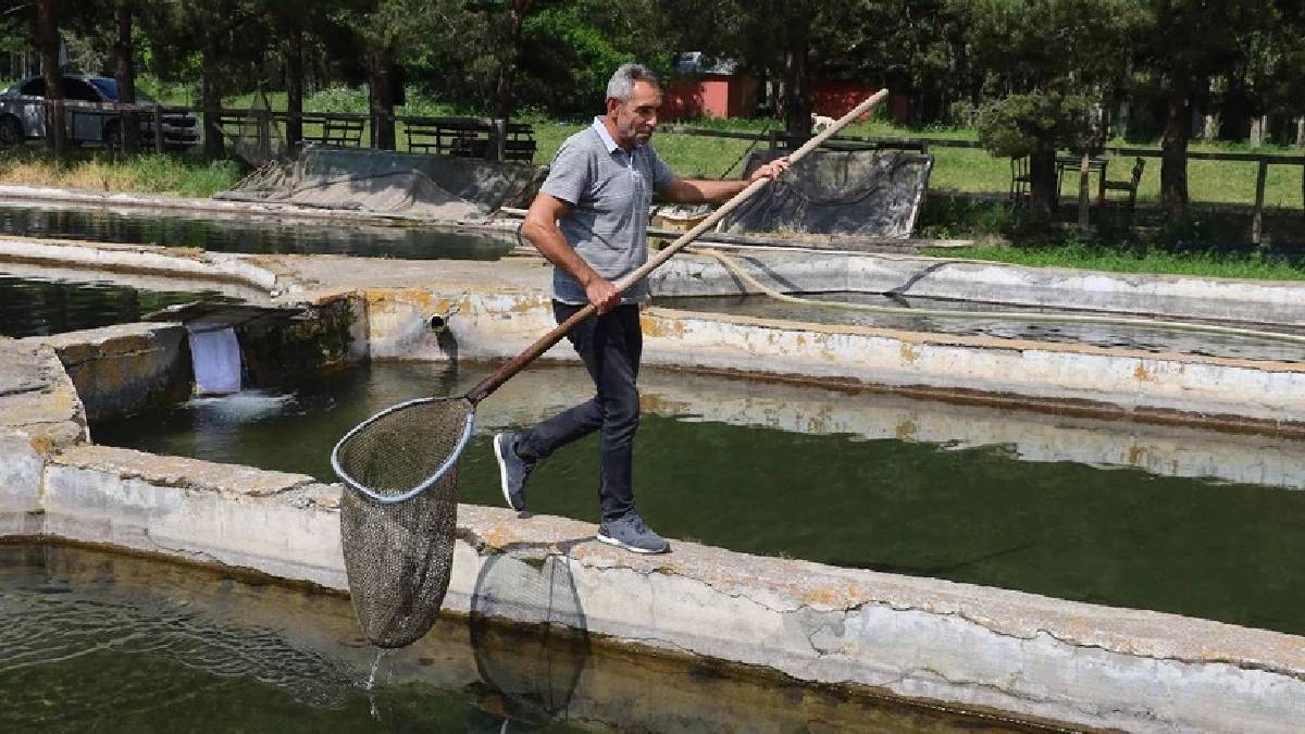 Denizi olmayan şehirde yetişiyor, soğuk su lezzetini katlıyor! Yılda 40 milyonluk üretim: Norveç’in ürünlerine taş çıkarıyor