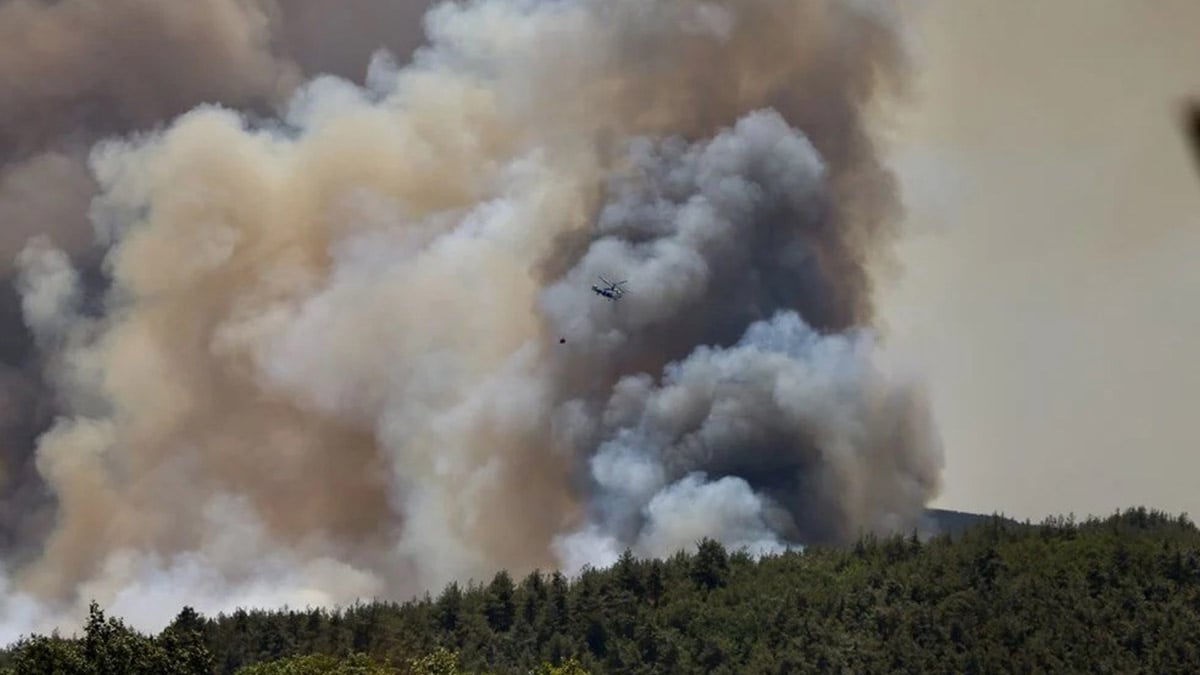 Sakarya’da başlayan orman yangını Bilecik’e ulaştı