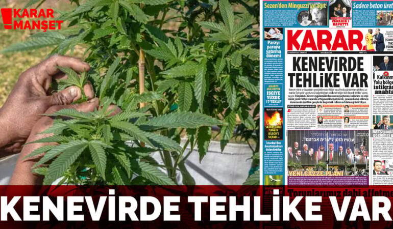 Kenevirde tehlike var