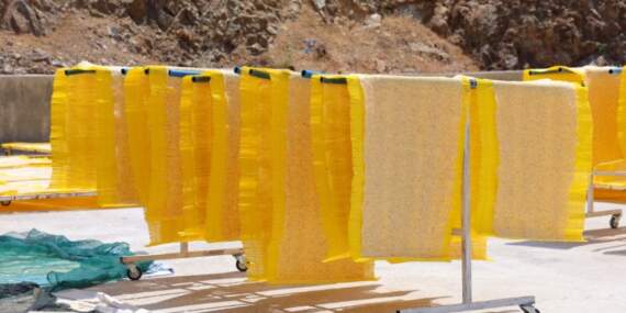 Maraş tarhanası Avrupa’nın atıştırmalığı oldu: Fransa, Hollanda, Almanya… Yıllık 25 bin ton üretimle dünya pazarında