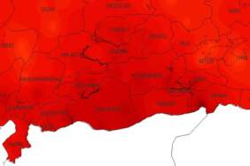 Elazığ, Malatya, Tunceli, Bingöl ve Diyarbakır’a korkutan uyarı verildi: 2 metrelik istilacı hortladı! Acilen önlemlerinizi alın
