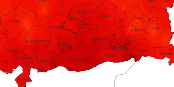 Elazığ, Malatya, Tunceli, Bingöl ve Diyarbakır’a korkutan uyarı verildi: 2 metrelik istilacı hortladı! Acilen önlemlerinizi alın