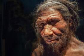 İlk matematikçiler Neandertaller olabilir