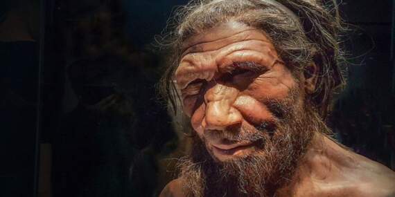 İlk matematikçiler Neandertaller olabilir